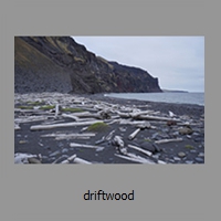 driftwood